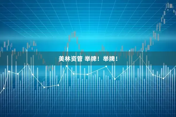 美林资管 举牌！举牌！