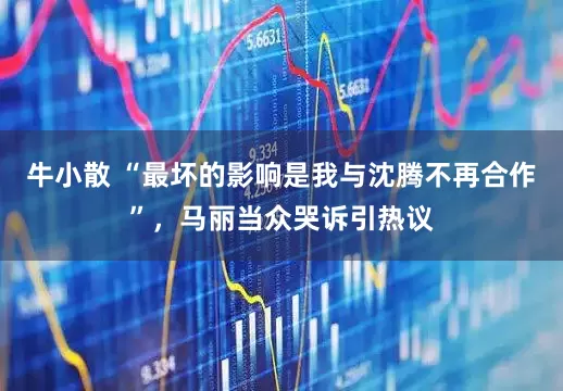 牛小散 “最坏的影响是我与沈腾不再合作”，马丽当众哭诉引热议